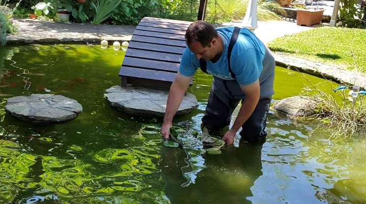  Entretien bassin de jardin Châteauroux