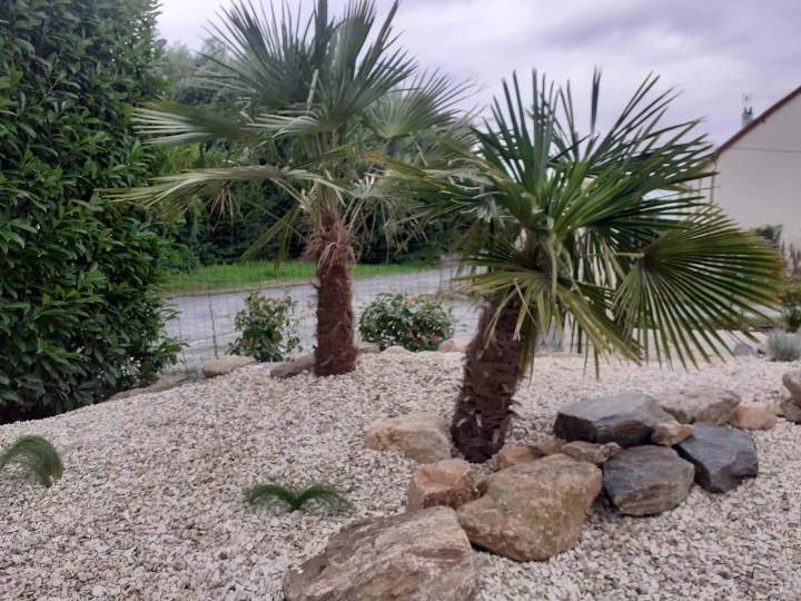 Création de jardin Châteauroux